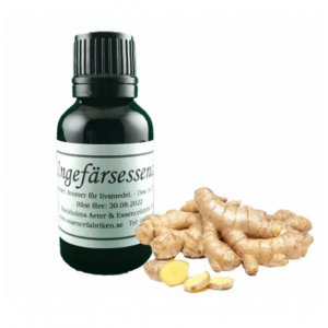 Arom/Essence - 25ml - Ingefära