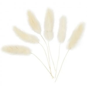 Torkat gräs - Bunny Tails - Mini - 6-pack