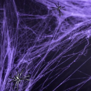 Spindelnät - Lila