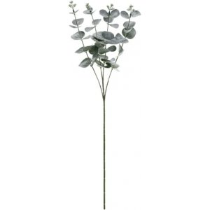 Eucalyptuskvist - 60 cm