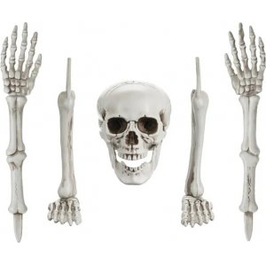Skelettdelar - Halloweendekoration