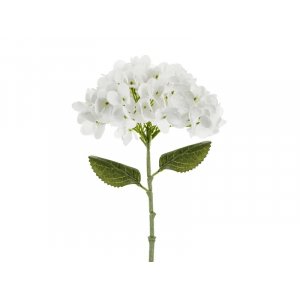 Hortenisa - 35 cm - Vit