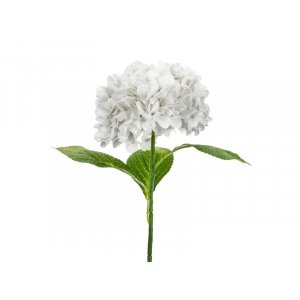 Hortenisa - 69 cm - Premium - Vit
