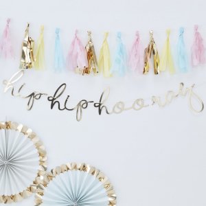 Backdrop - Hip Hip Hooray
