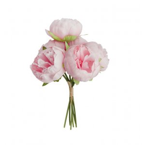 Pioner - 6-pack - Rosa