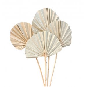 Palmblad - 50 cm - 10-pack
