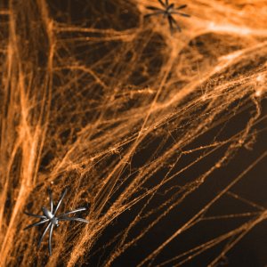 Spindelnät - Orange