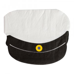 Små servetter - Studentmössa - 24x24 cm - 16-pack
