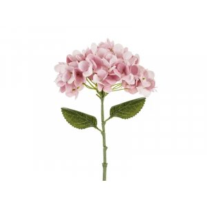 Hortenisa - 35 cm - Rosa
