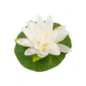 Vit Lotus - 22 cm