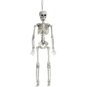 Skelett - 40 cm