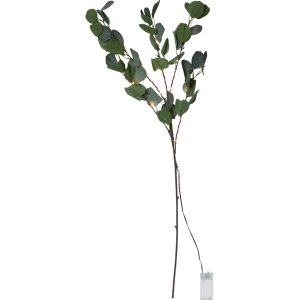 Dekorationskvist - LED - Eucalyptus
