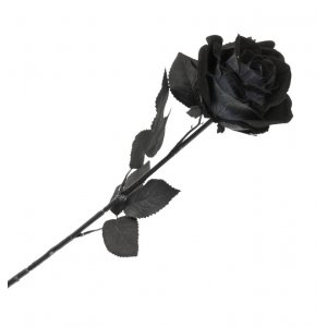Dekoration - Halloween - Svart Ros - 65 cm