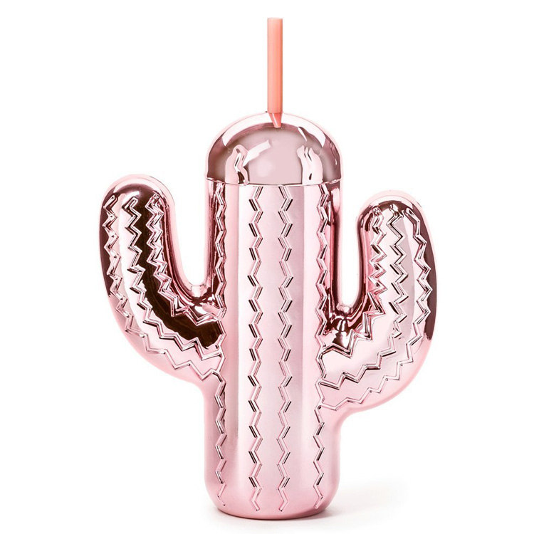 Kaktusglas Med Sugrör