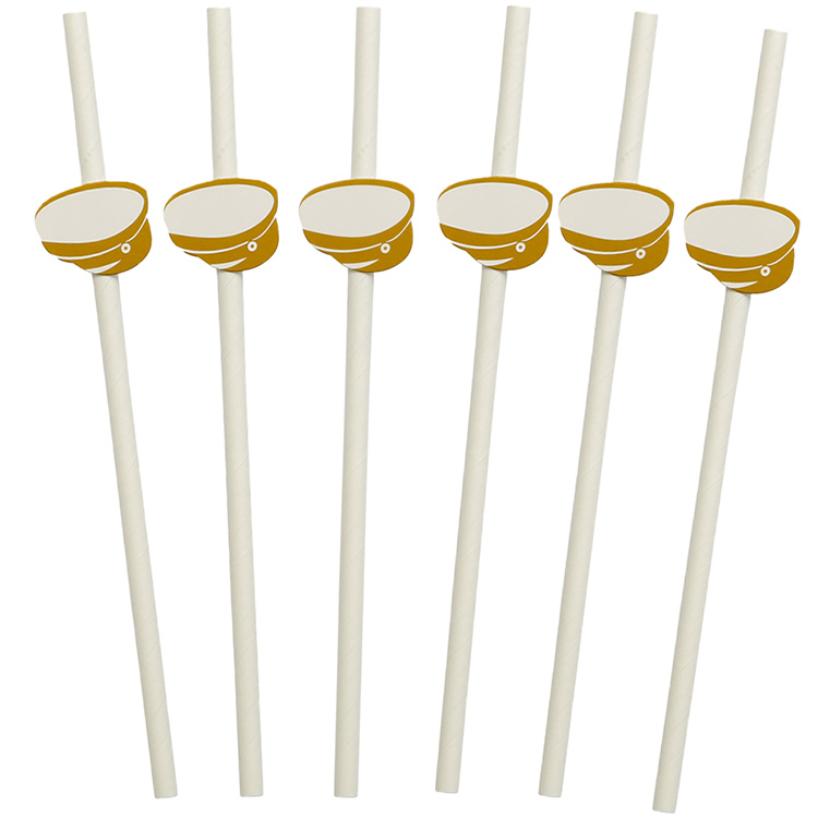 Student Papperssugrör 8-pack