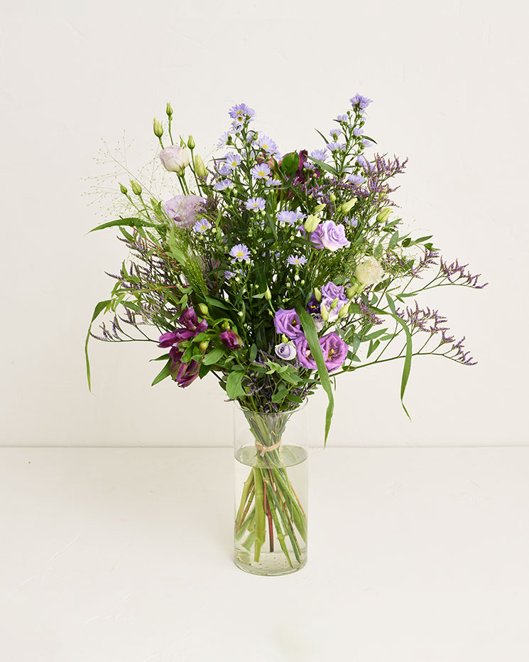 Violett harmoni